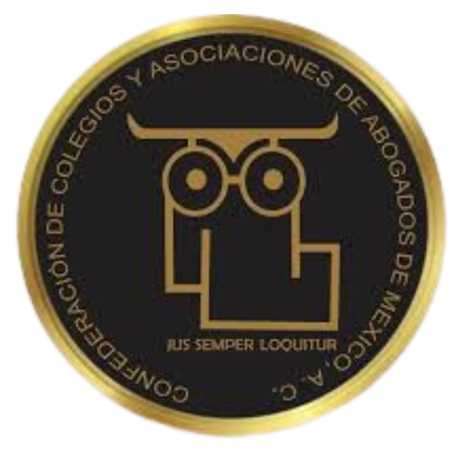 CONCAAM Logo